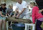 DSC02903