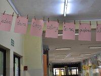 DSC 0234