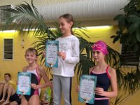 plywacypodium16-12