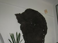 IMG 0873