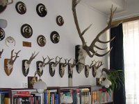 IMG 0880