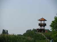 IMG 0947