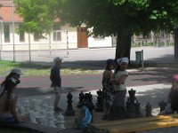 IMG 0989